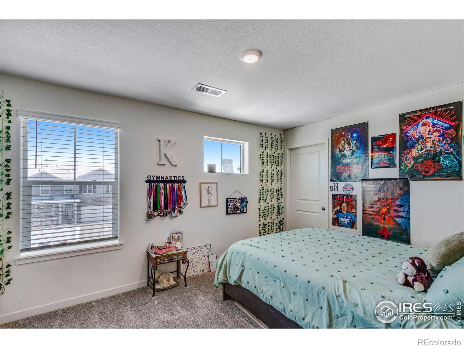 MLS Image #27 for 266  swallow road,johnstown, Colorado