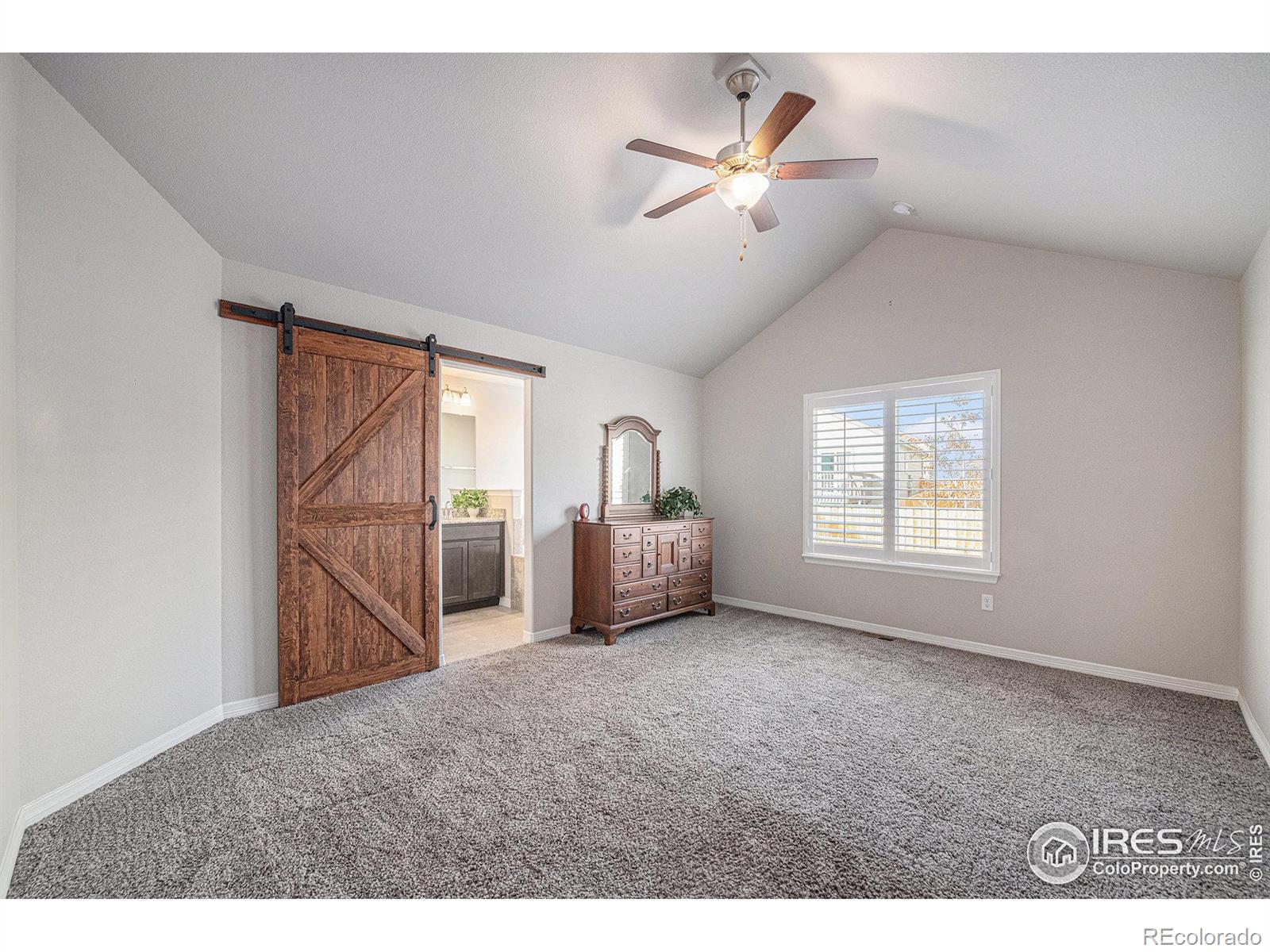 MLS Image #14 for 2163  chianina street,mead, Colorado