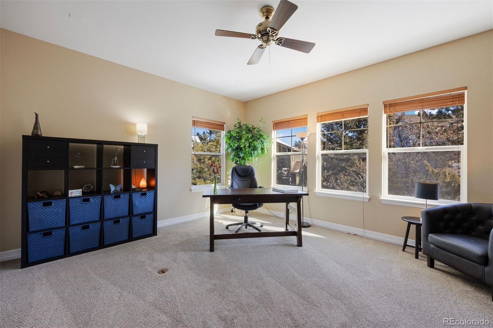 MLS Image #15 for 1402  sterling hill court,castle rock, Colorado