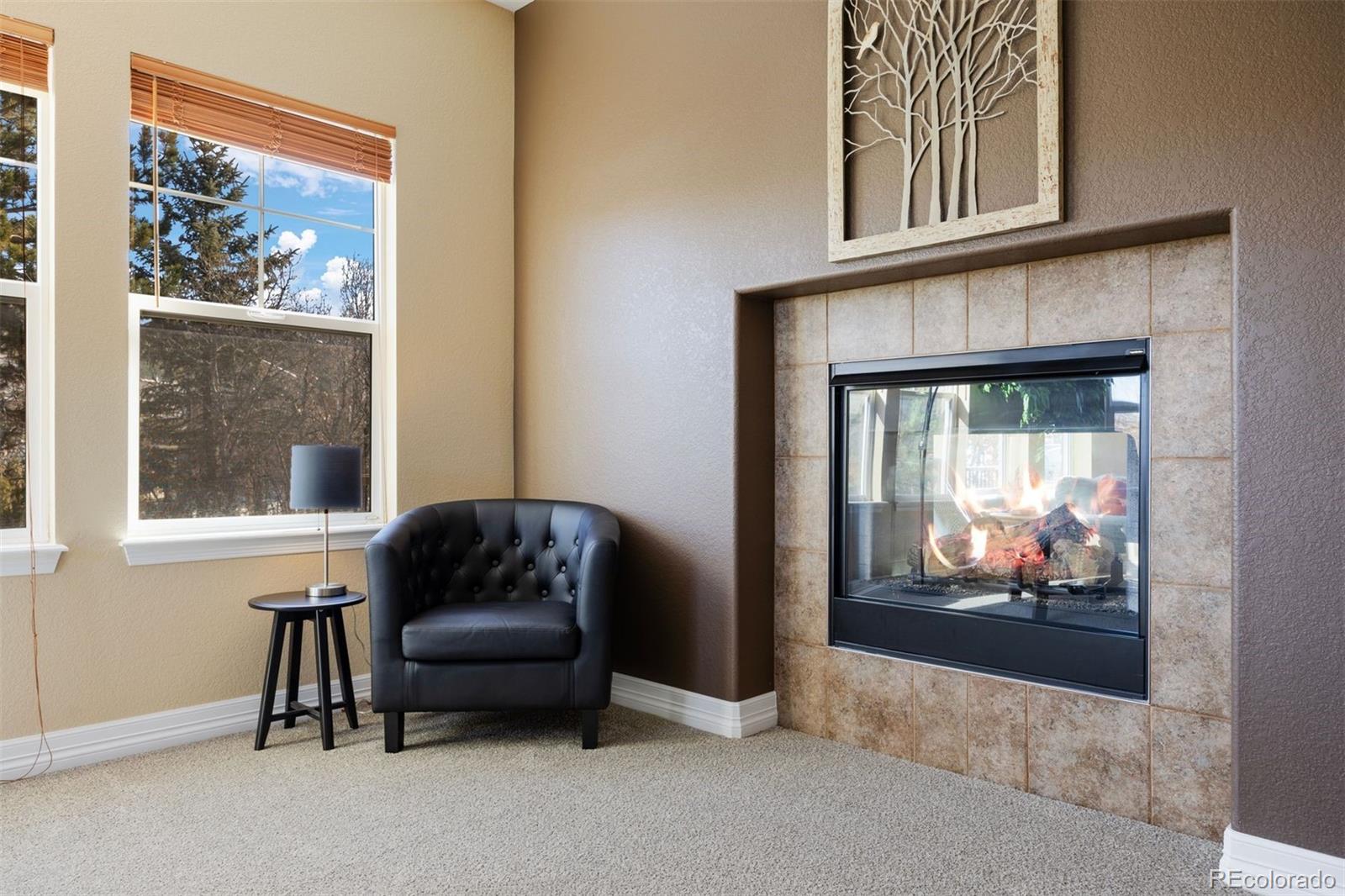 MLS Image #16 for 1402  sterling hill court,castle rock, Colorado