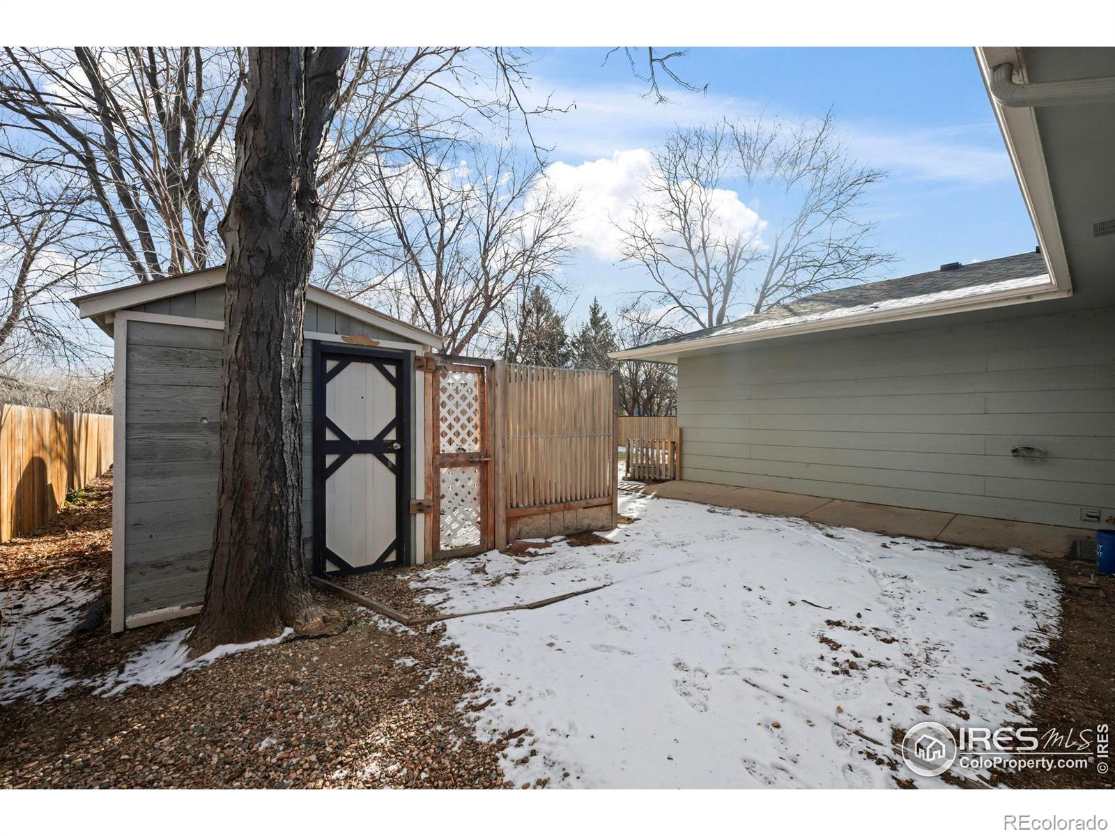 MLS Image #23 for 1112  elbert avenue,loveland, Colorado