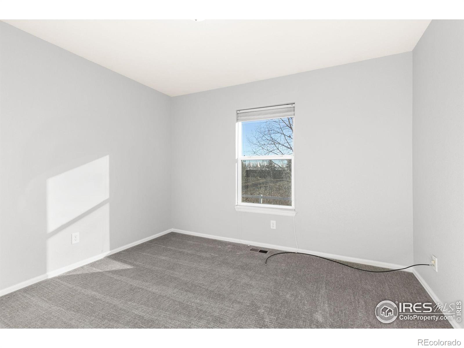 MLS Image #21 for 2116  sandhill crane circle,loveland, Colorado