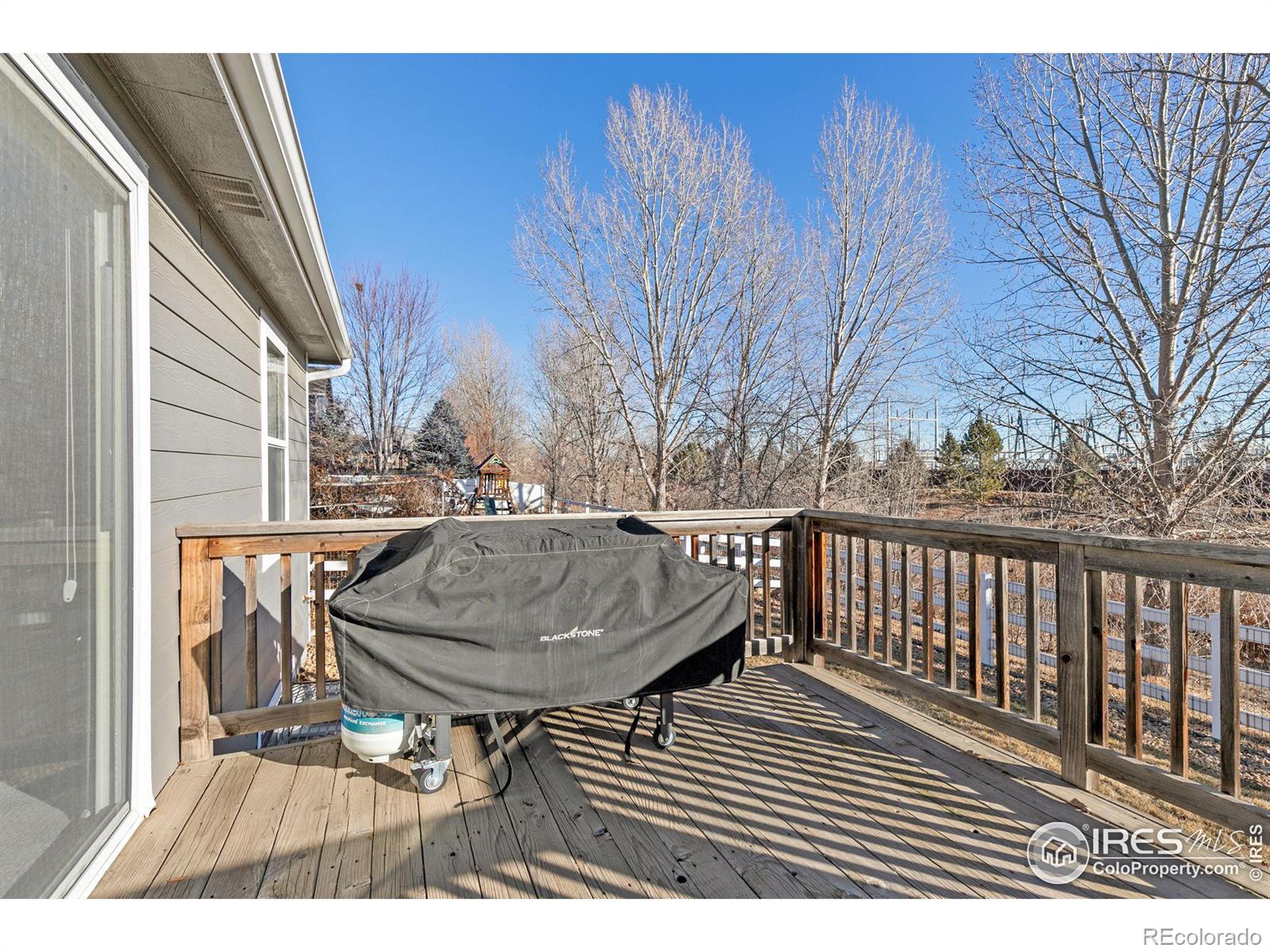 MLS Image #29 for 2116  sandhill crane circle,loveland, Colorado