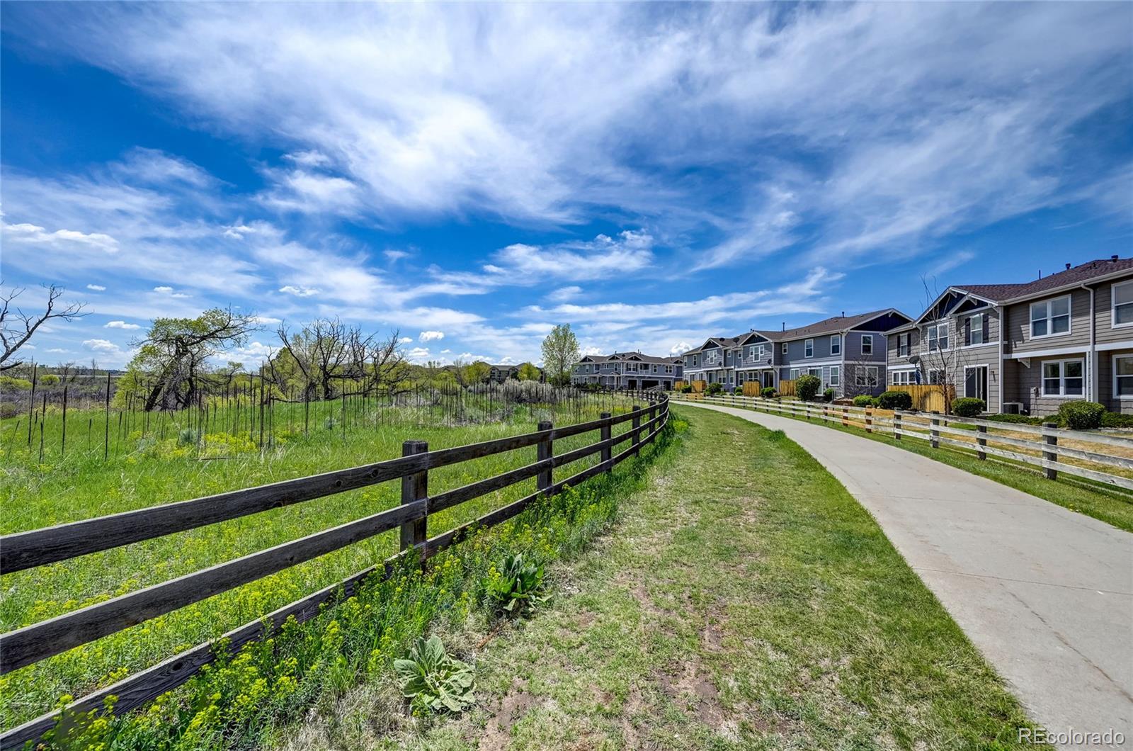 MLS Image #33 for 17359  waterhouse circle,parker, Colorado