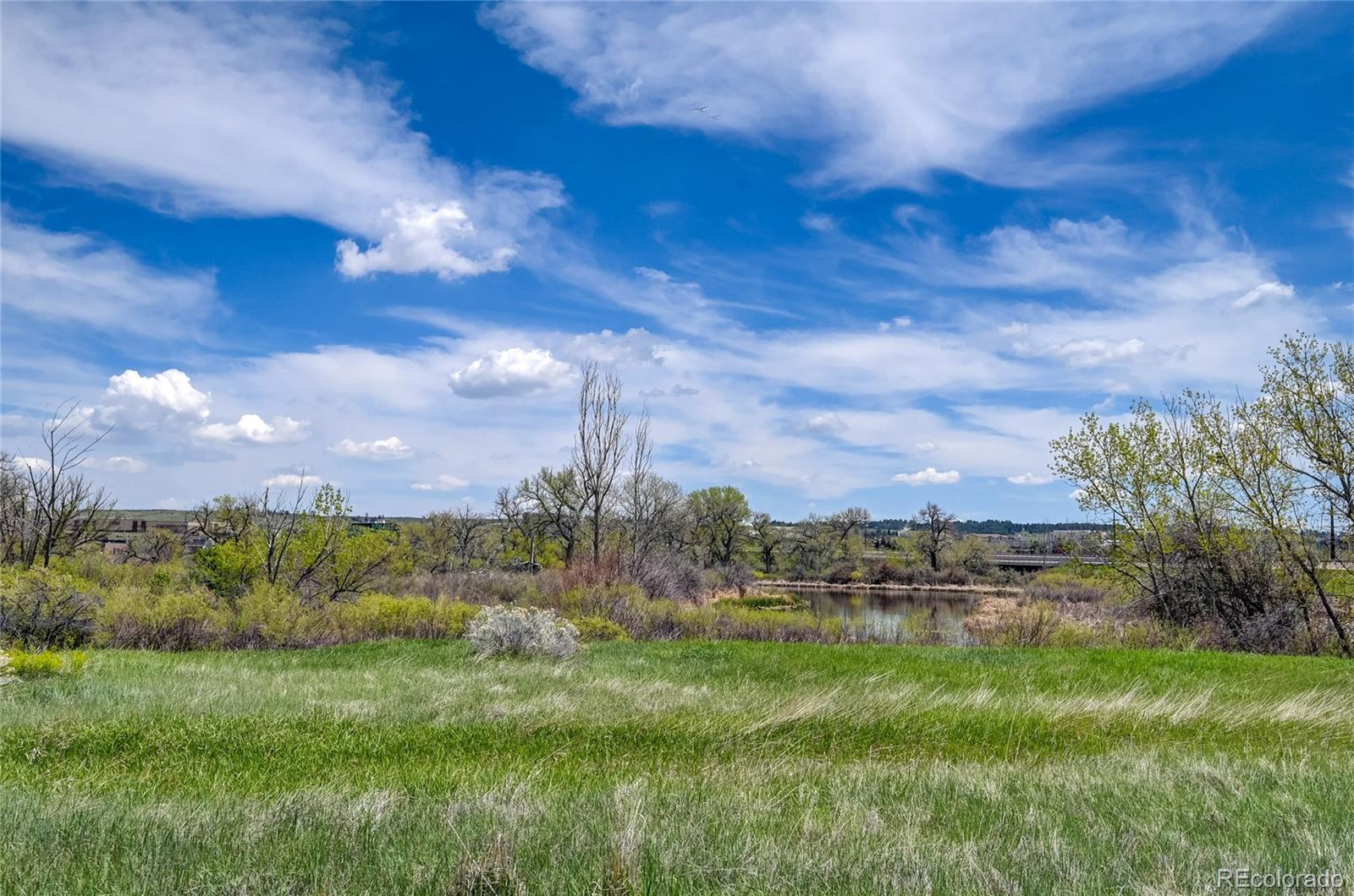 MLS Image #34 for 17359  waterhouse circle,parker, Colorado
