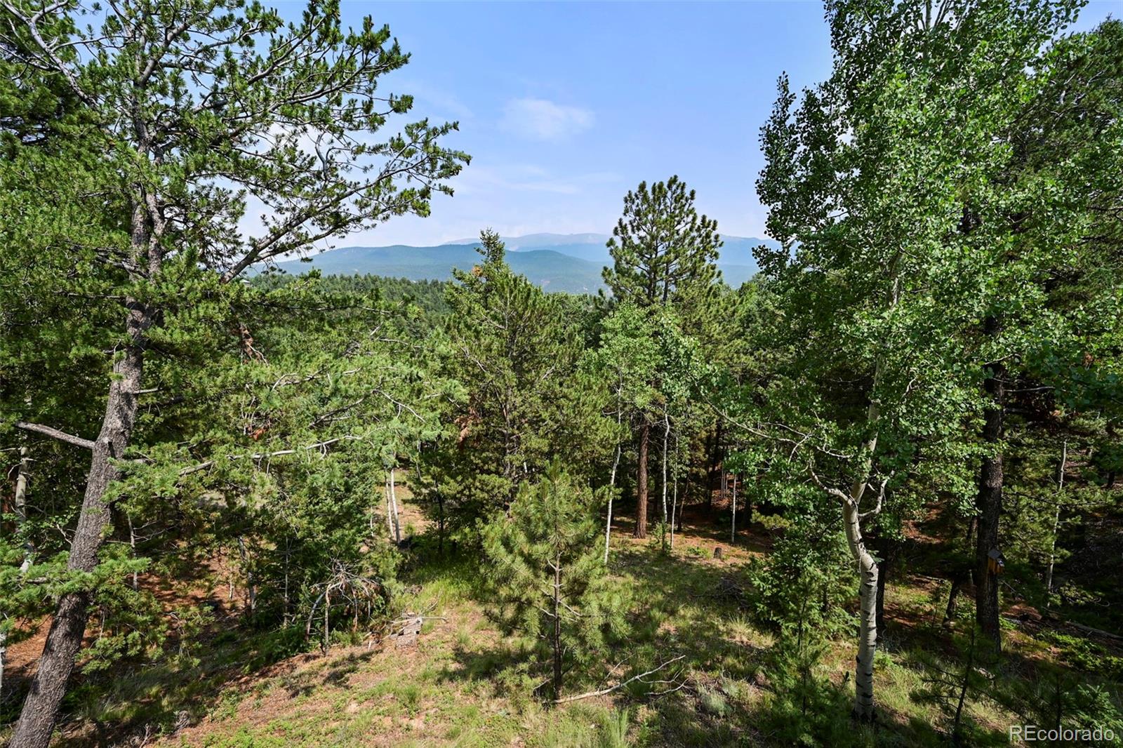 MLS Image #32 for 96  paradiso road,divide, Colorado