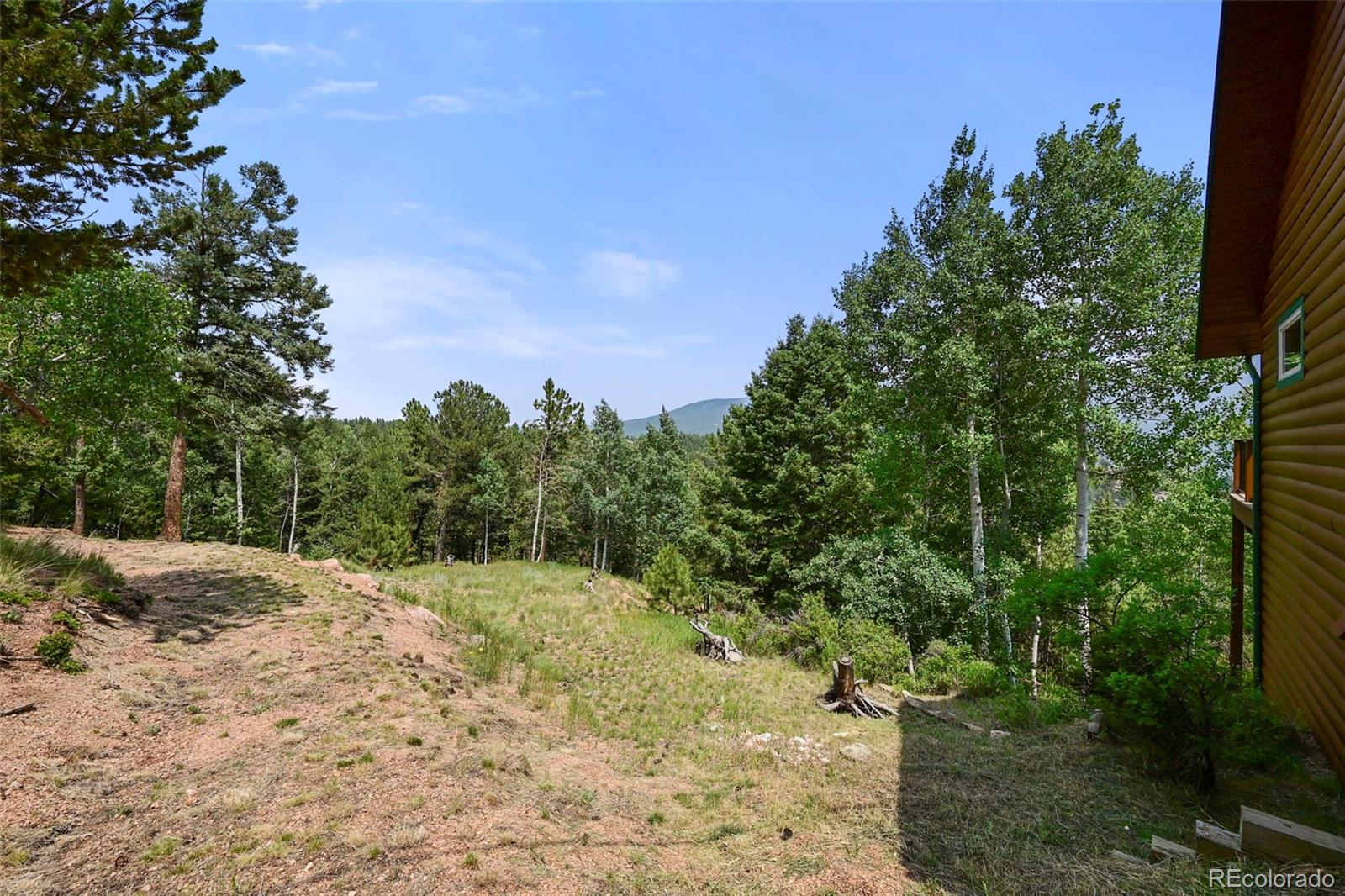 MLS Image #33 for 96  paradiso road,divide, Colorado