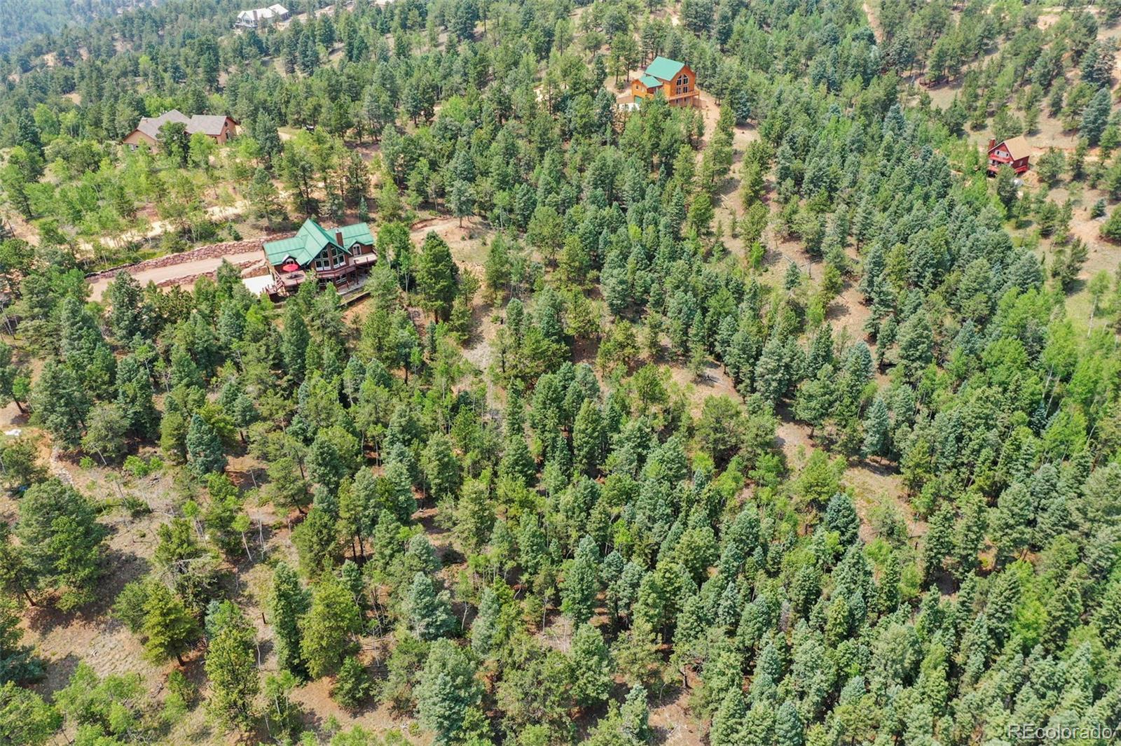 MLS Image #39 for 96  paradiso road,divide, Colorado