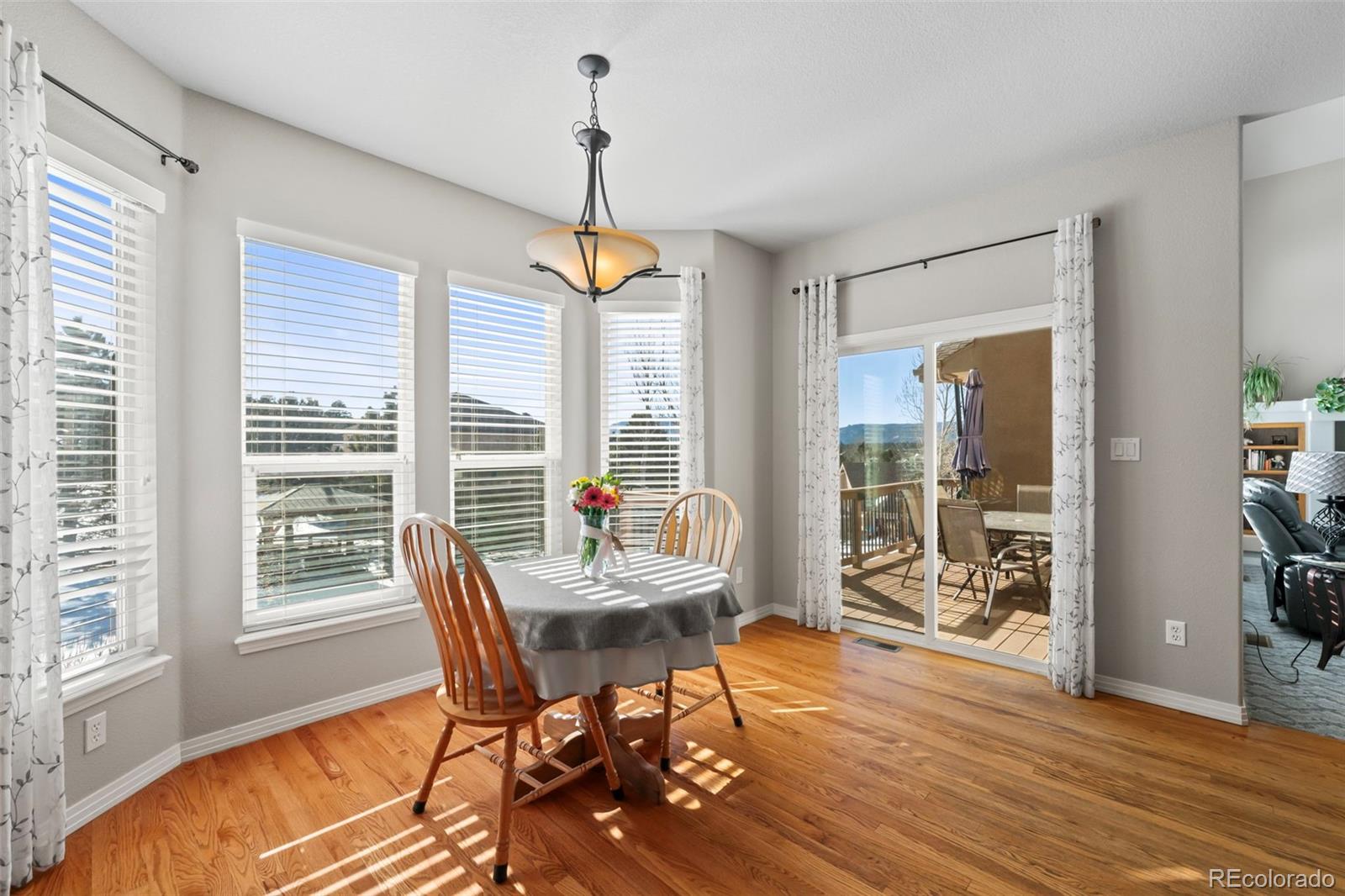 MLS Image #13 for 1535  plowman drive,monument, Colorado