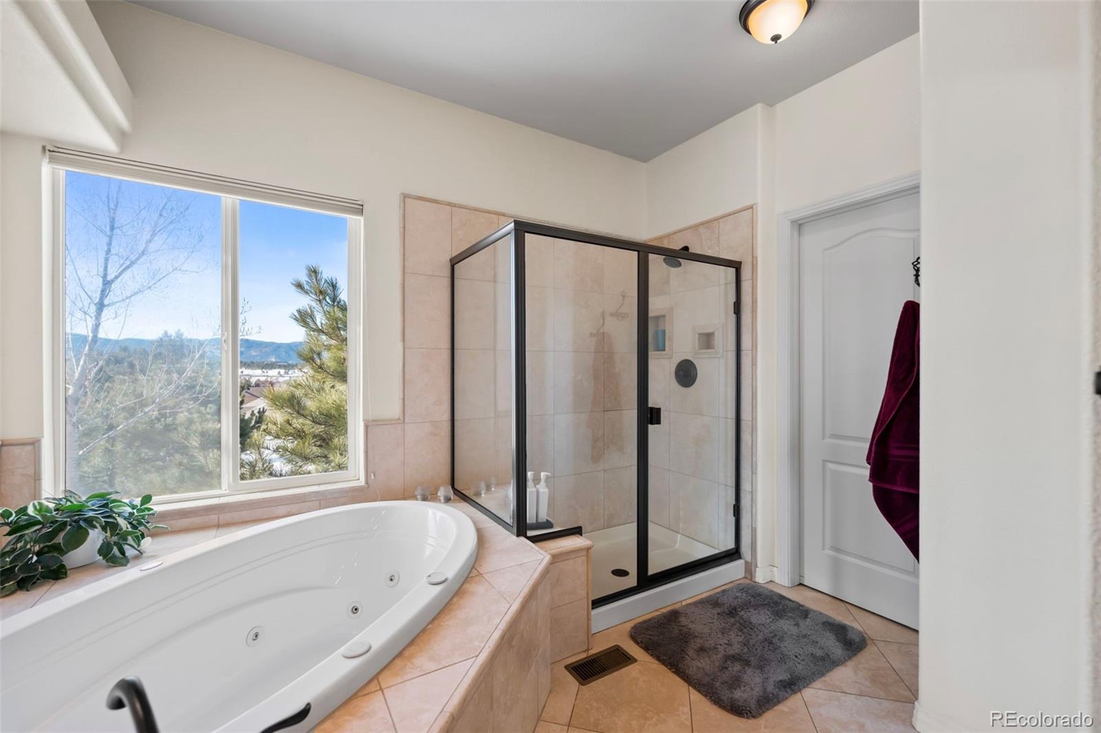 MLS Image #18 for 1535  plowman drive,monument, Colorado