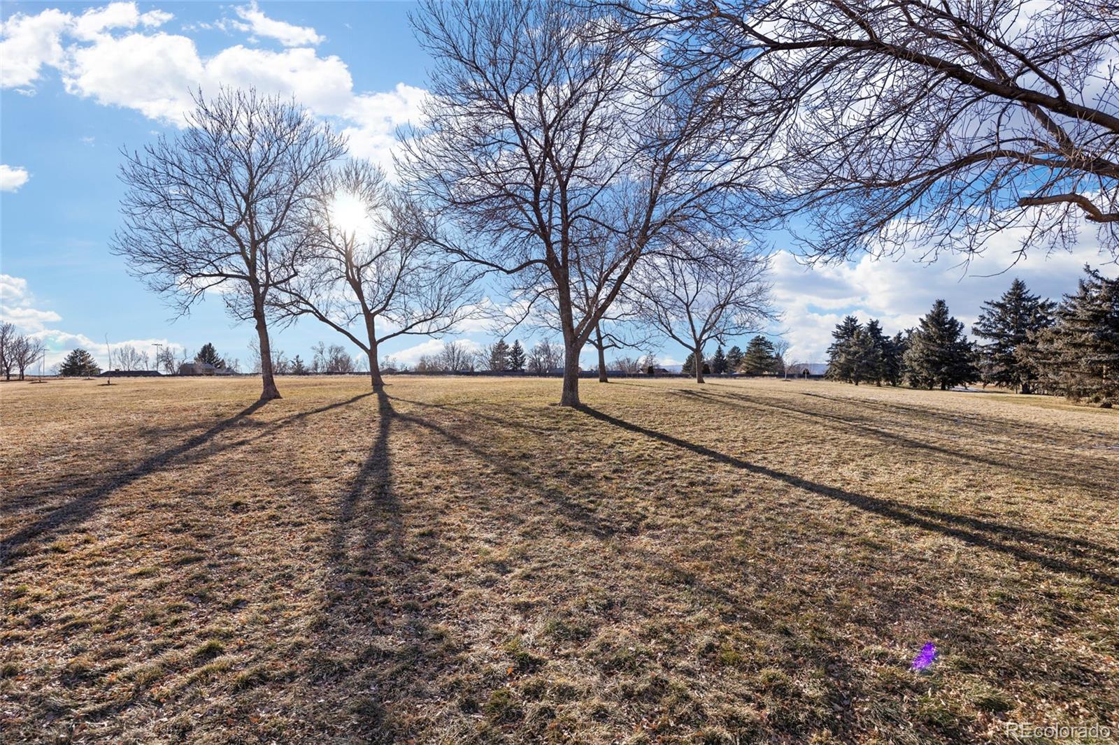 MLS Image #27 for 8690  allison street,arvada, Colorado