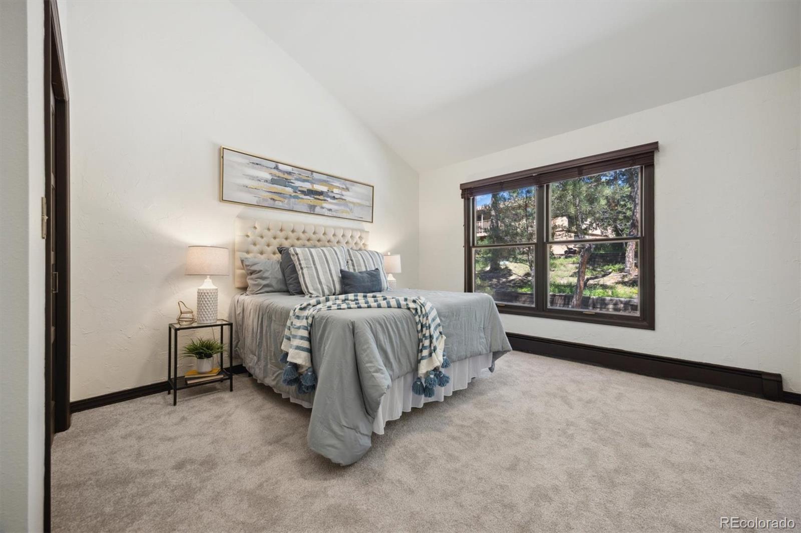 MLS Image #20 for 6150  briarcliff road,colorado springs, Colorado