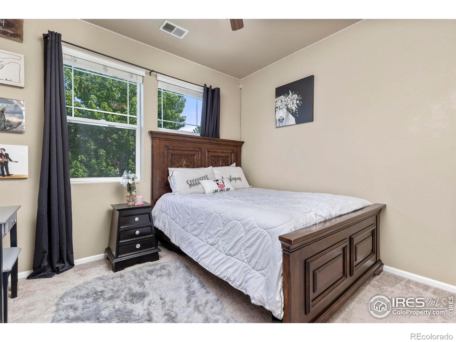 MLS Image #21 for 5102  southern cross lane,fort collins, Colorado