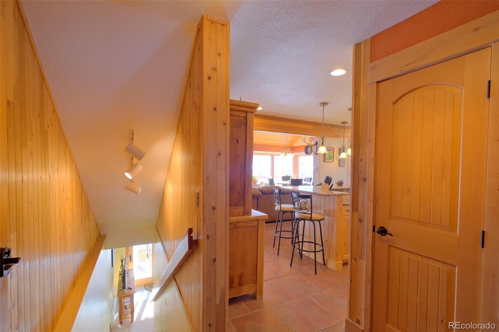 MLS Image #23 for 243  county road 100 ,silverthorne, Colorado