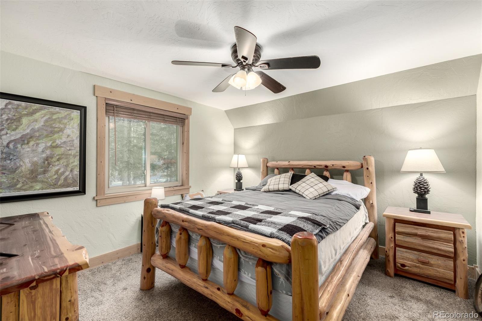 MLS Image #21 for 381  lake road,idaho springs, Colorado