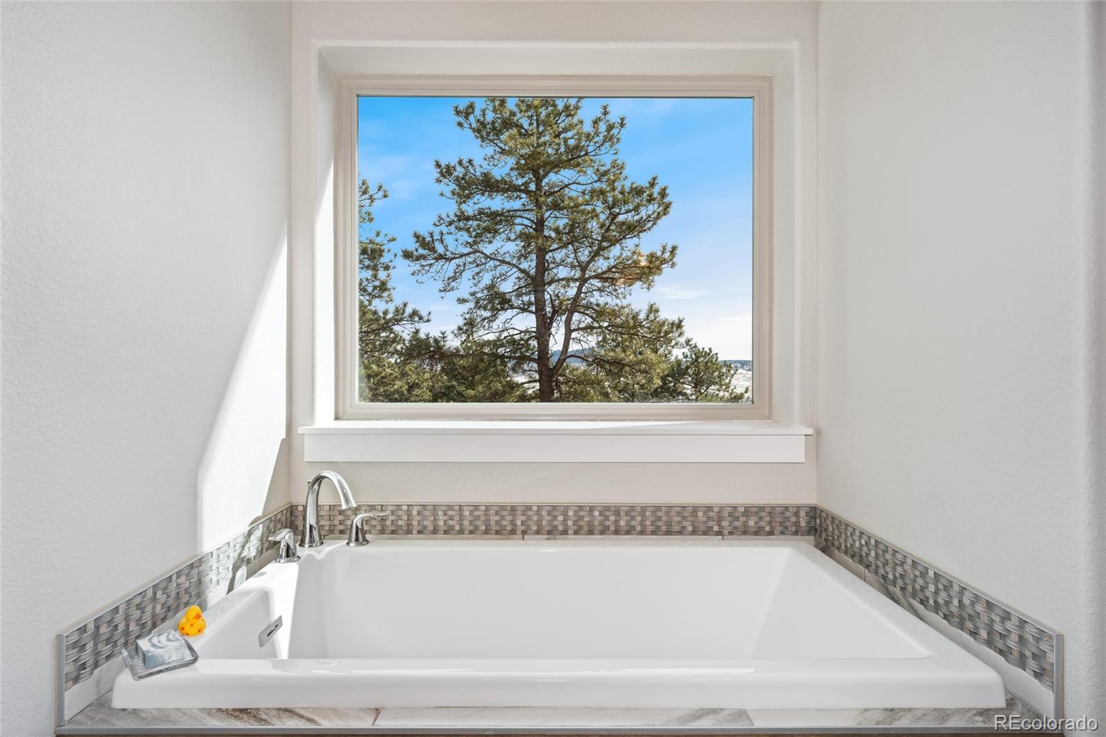 MLS Image #27 for 938  spruce road,larkspur, Colorado