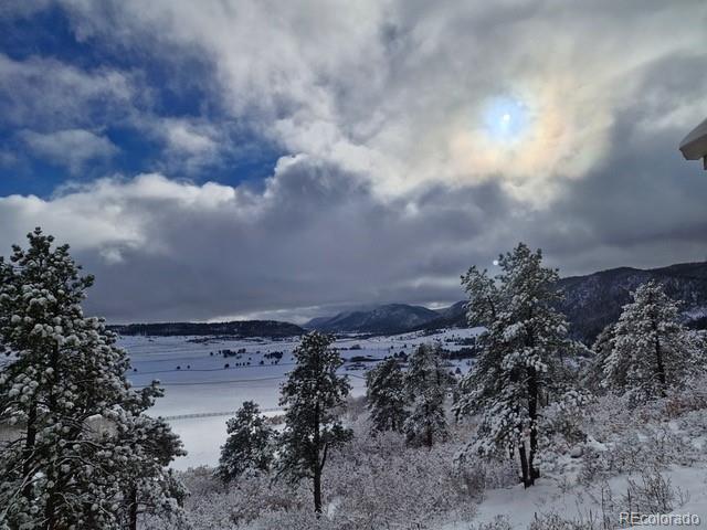 MLS Image #3 for 938  spruce road,larkspur, Colorado