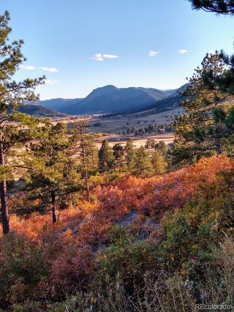 MLS Image #46 for 938  spruce road,larkspur, Colorado