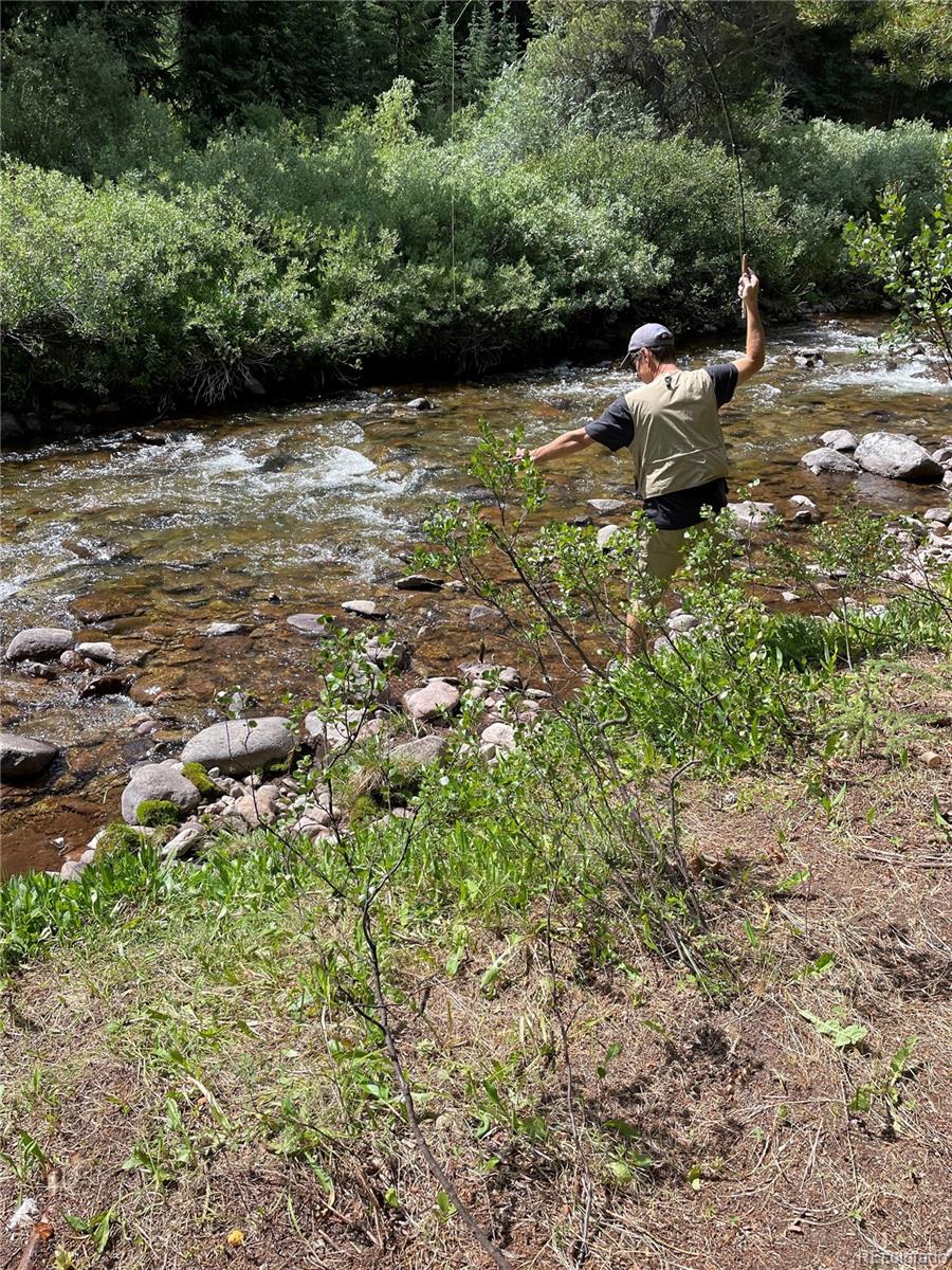 MLS Image #43 for 124  storm king drive,frisco, Colorado