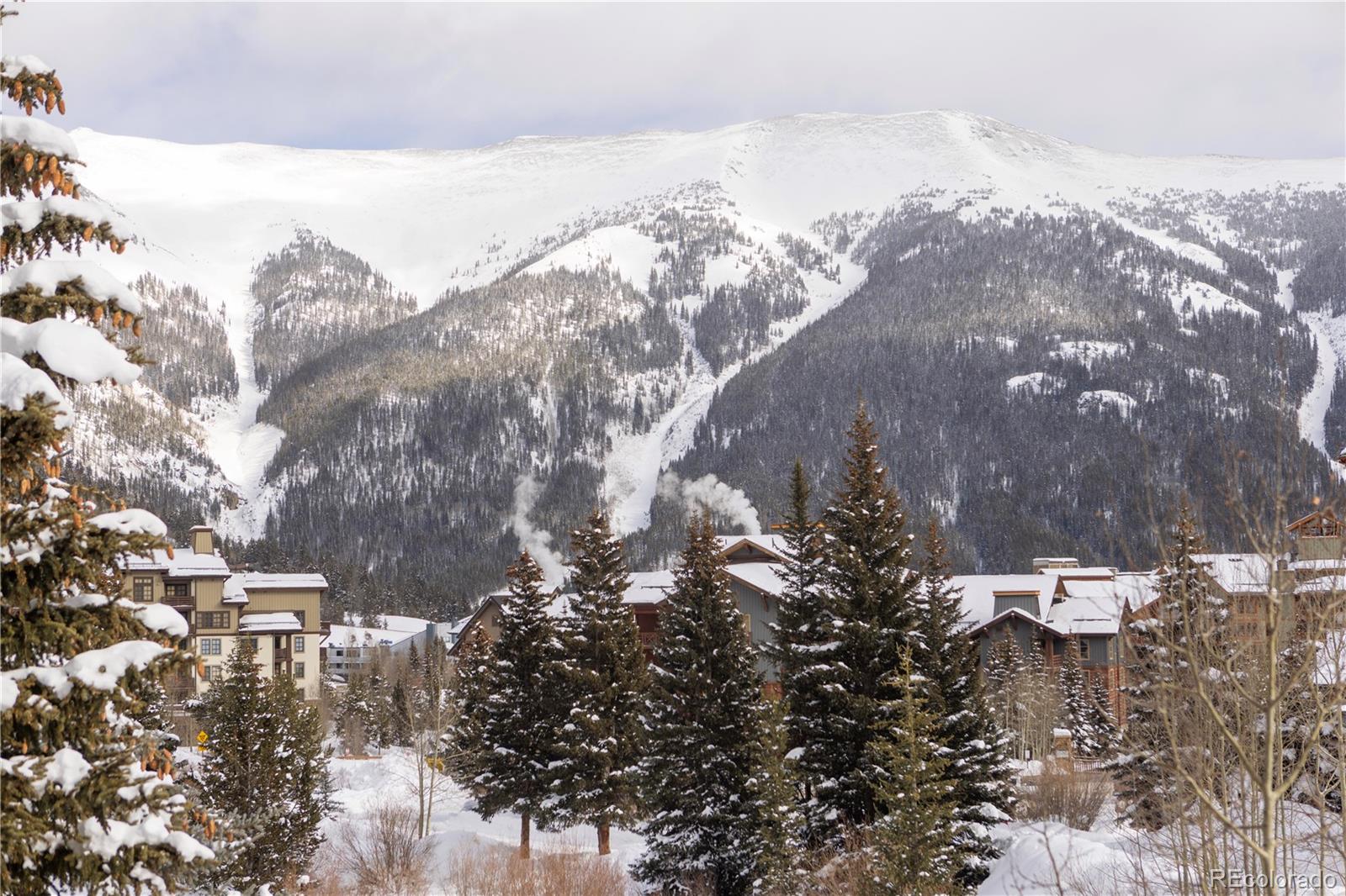 MLS Image #9 for 124  storm king drive,frisco, Colorado