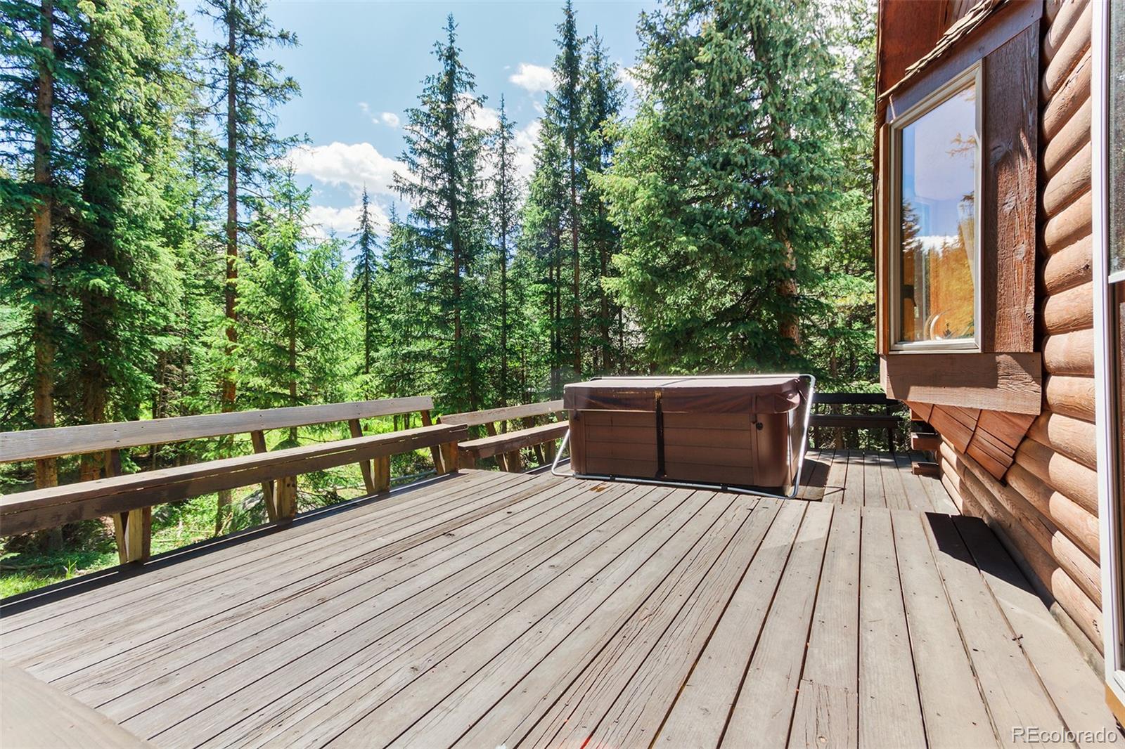 MLS Image #12 for 531  mountain view trail,breckenridge, Colorado