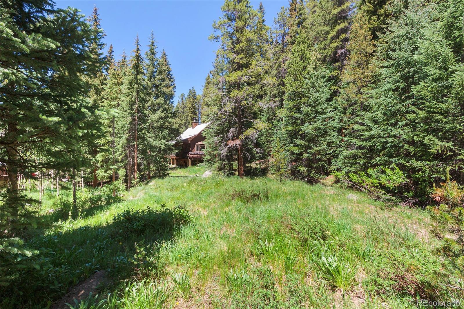 MLS Image #34 for 531  mountain view trail,breckenridge, Colorado