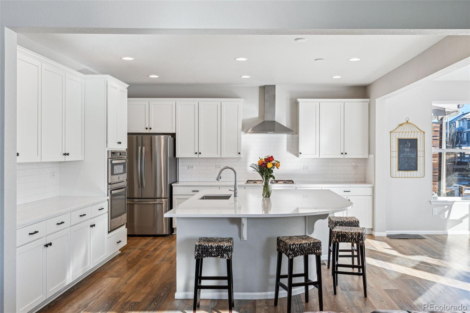 MLS Image #12 for 9164  swan river street,littleton, Colorado