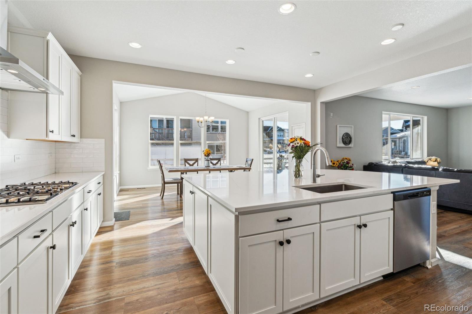 MLS Image #16 for 9164  swan river street,littleton, Colorado