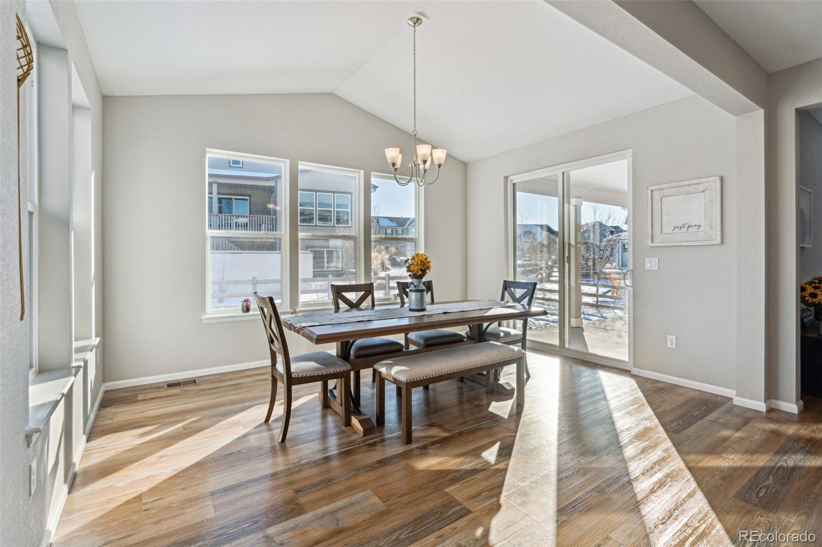 MLS Image #19 for 9164  swan river street,littleton, Colorado