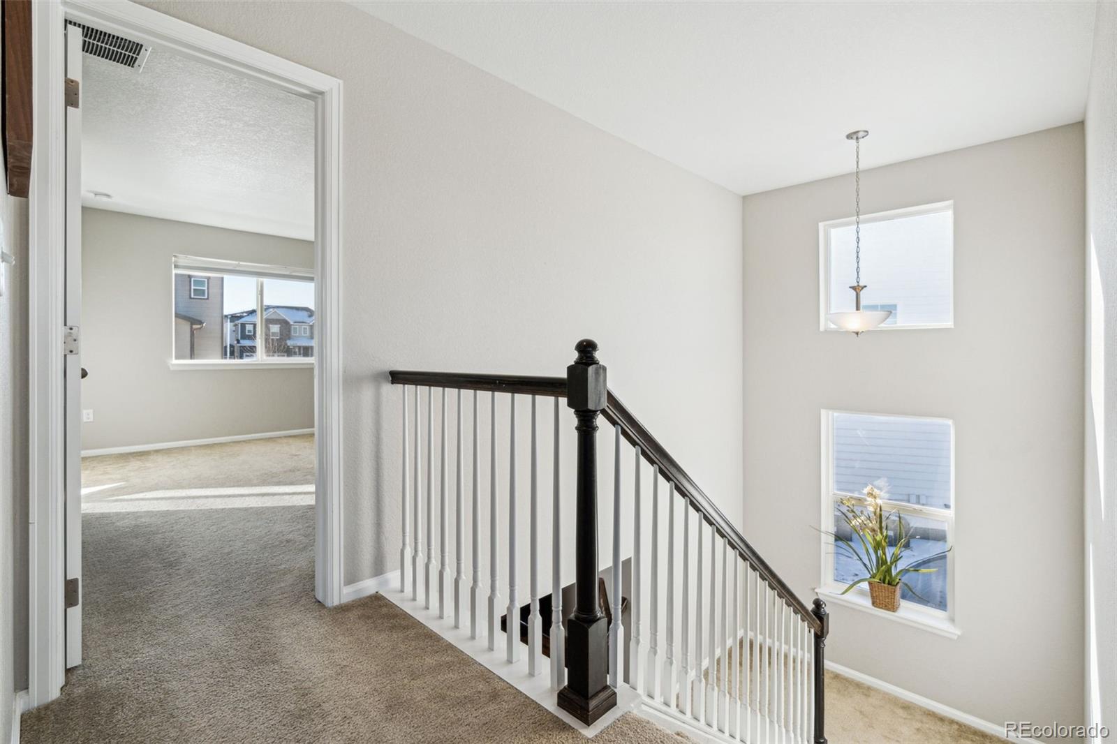 MLS Image #22 for 9164  swan river street,littleton, Colorado