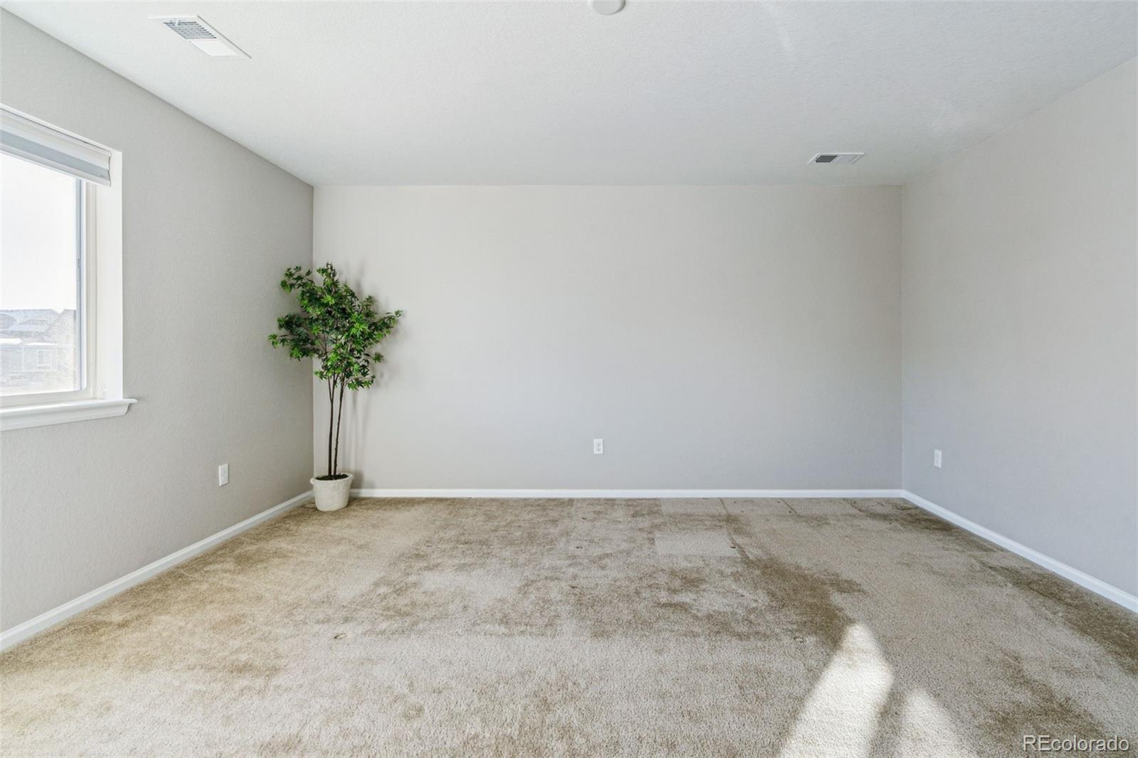MLS Image #29 for 9164  swan river street,littleton, Colorado