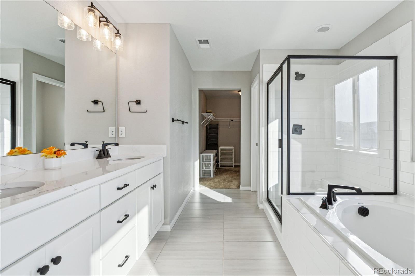 MLS Image #31 for 9164  swan river street,littleton, Colorado