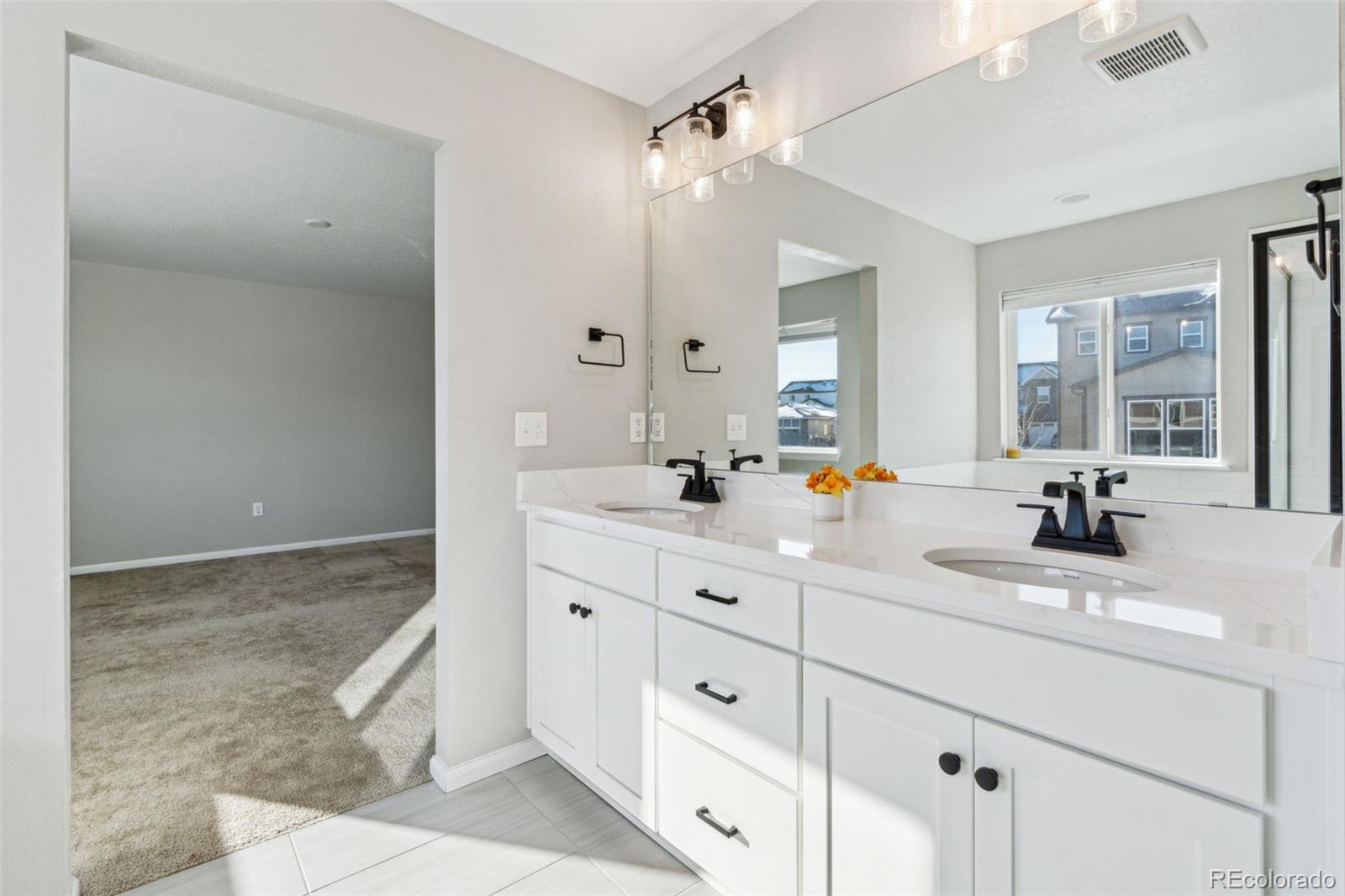 MLS Image #32 for 9164  swan river street,littleton, Colorado