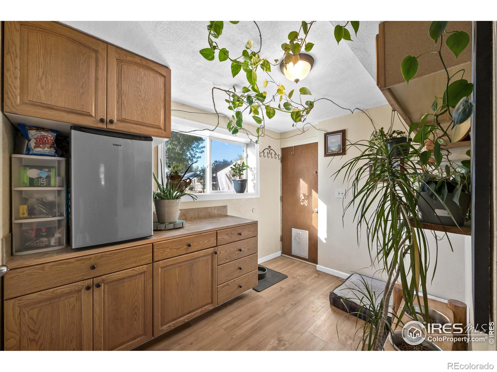 MLS Image #27 for 306  stockton street,gilcrest, Colorado
