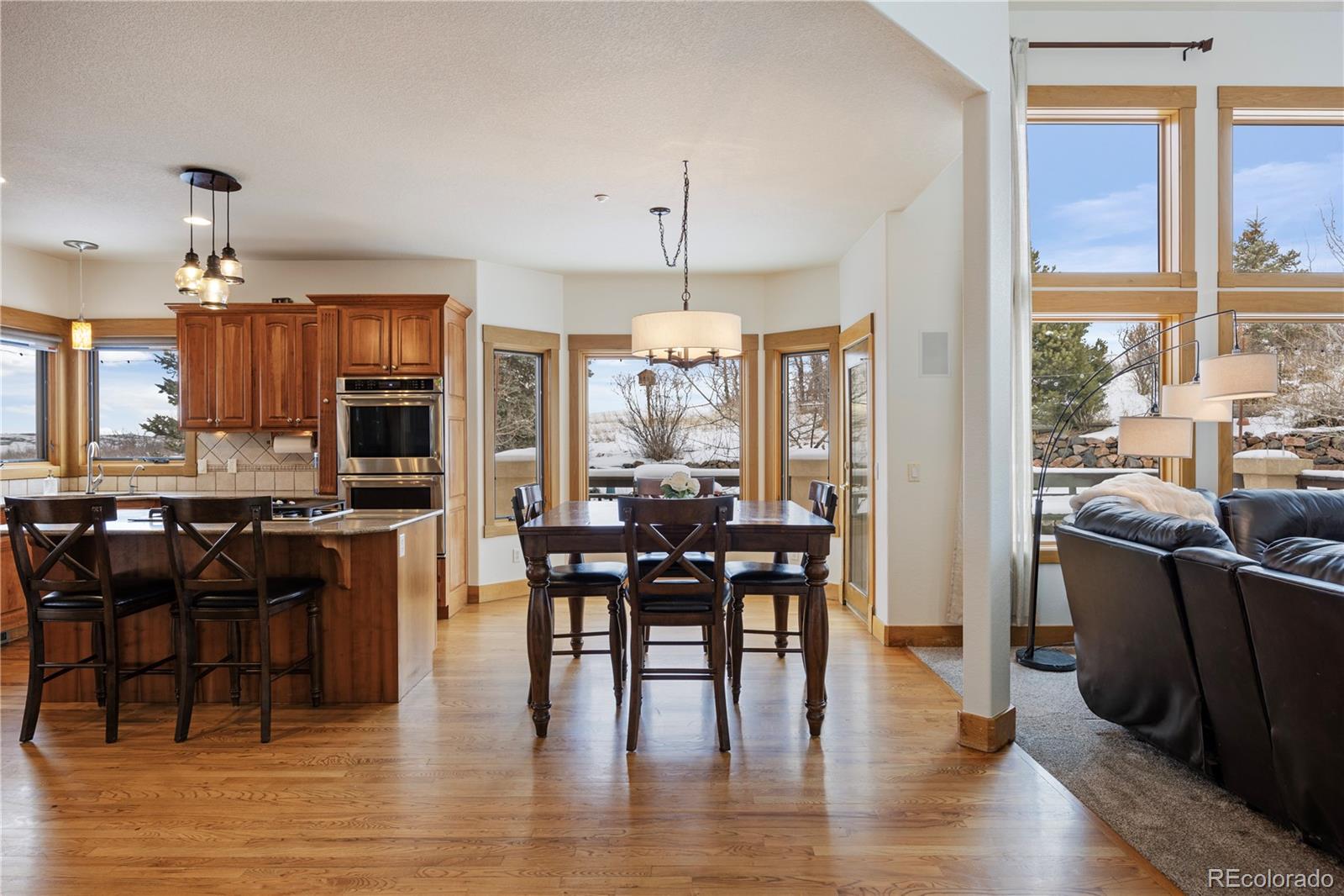 MLS Image #7 for 3891  windchant circle,castle rock, Colorado