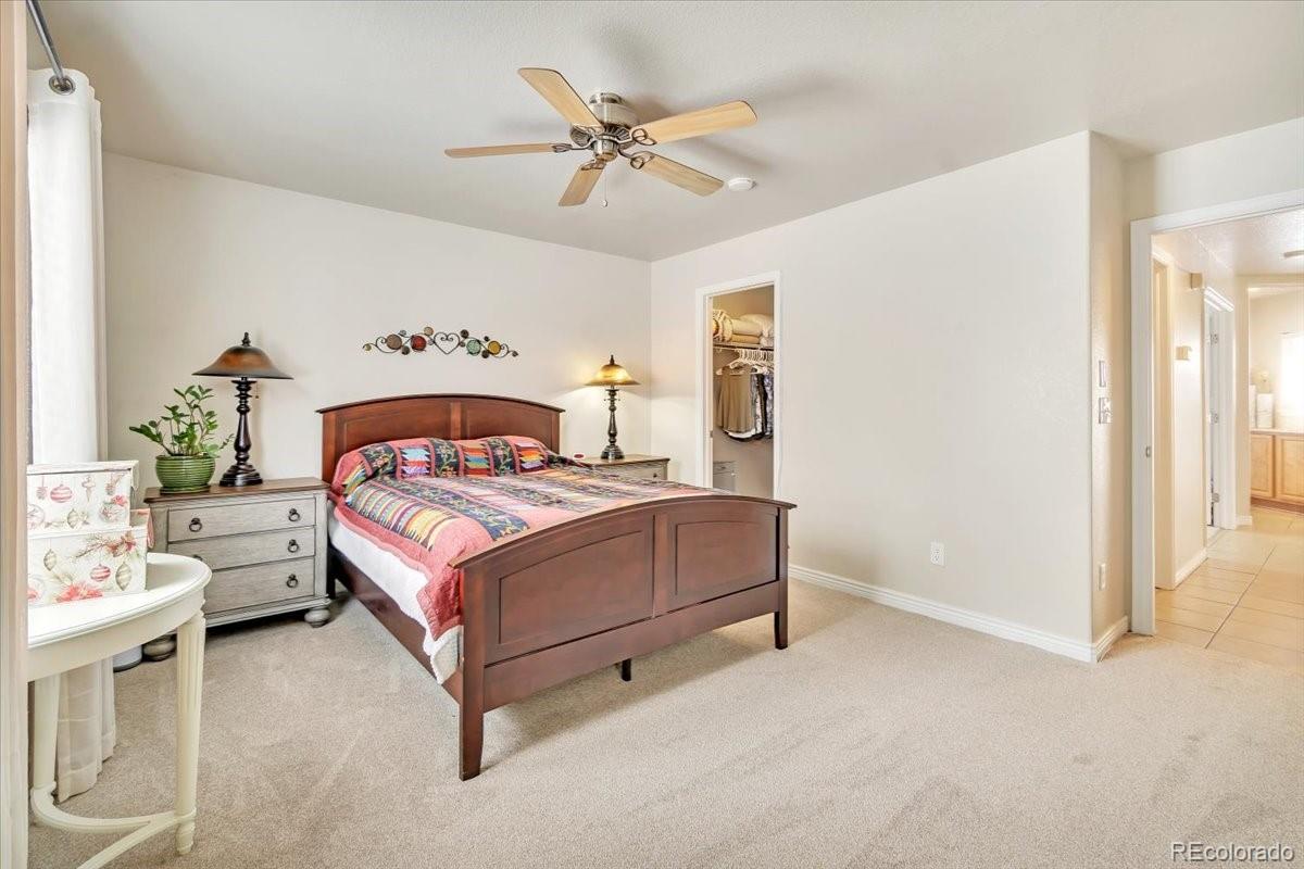 MLS Image #10 for 4201  beautiful circle,castle rock, Colorado