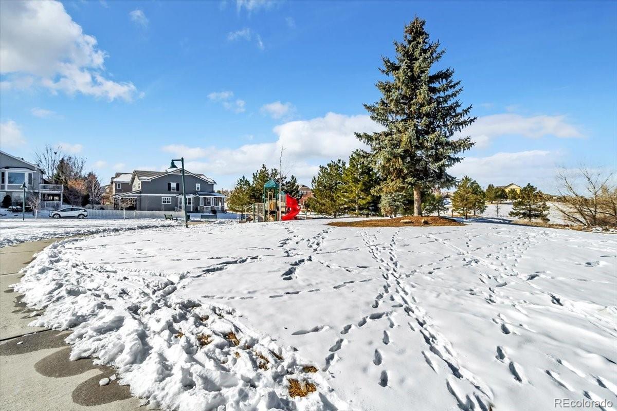 MLS Image #26 for 4201  beautiful circle,castle rock, Colorado