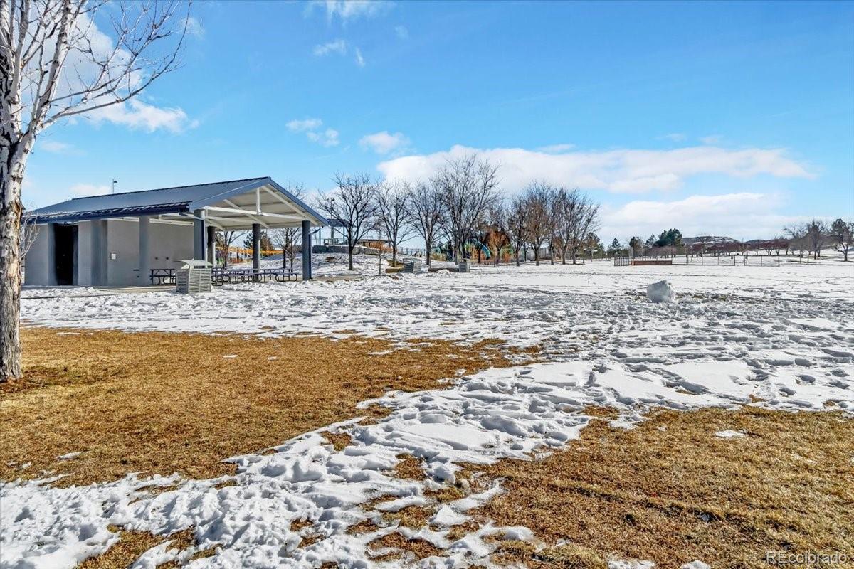 MLS Image #29 for 4201  beautiful circle,castle rock, Colorado