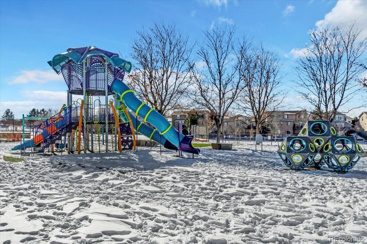 MLS Image #33 for 4201  beautiful circle,castle rock, Colorado