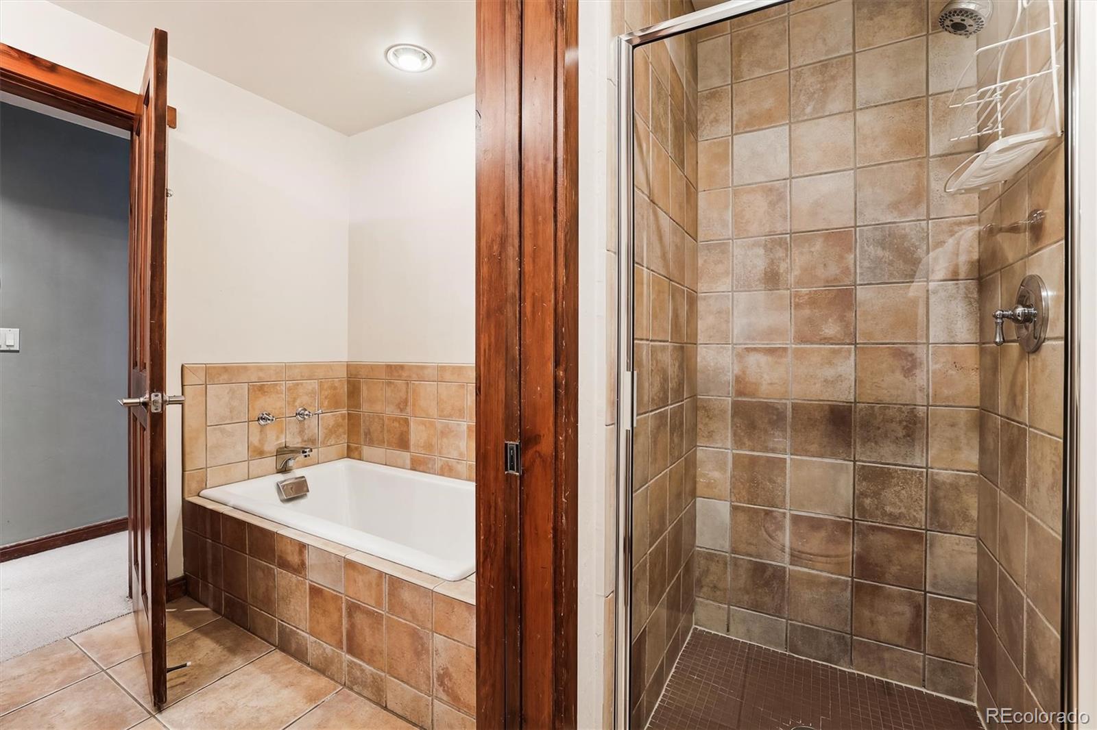 MLS Image #21 for 680 s main street,breckenridge, Colorado