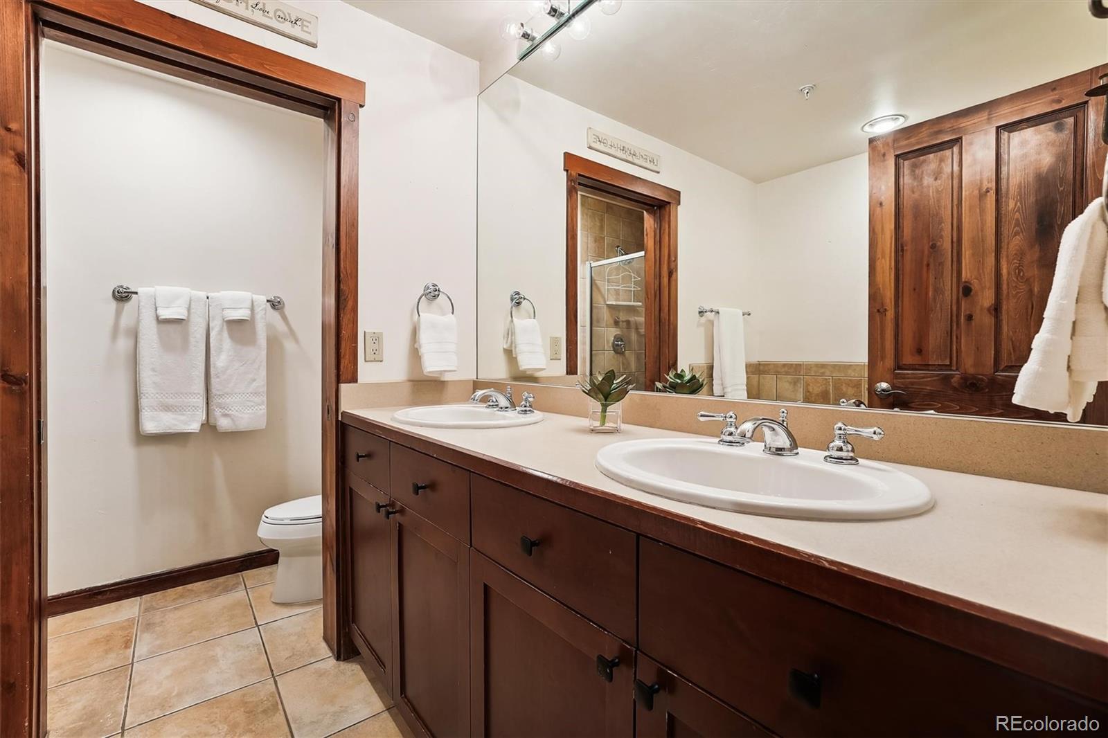 MLS Image #22 for 680 s main street,breckenridge, Colorado