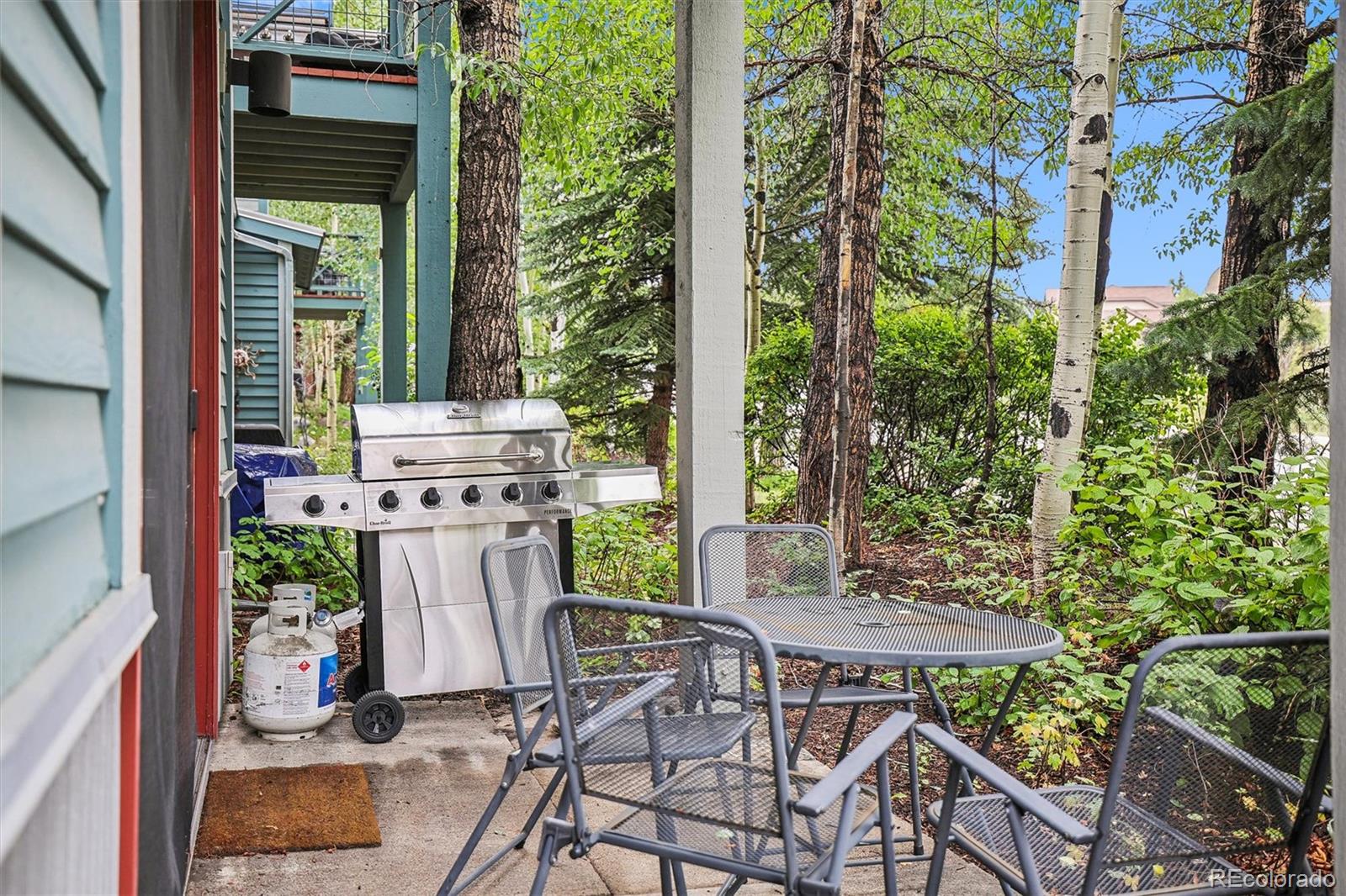 MLS Image #28 for 680 s main street,breckenridge, Colorado