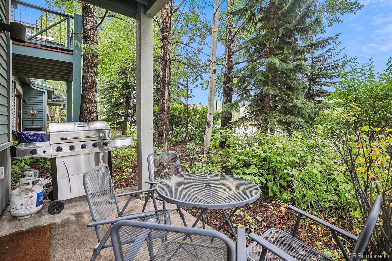 MLS Image #29 for 680 s main street,breckenridge, Colorado
