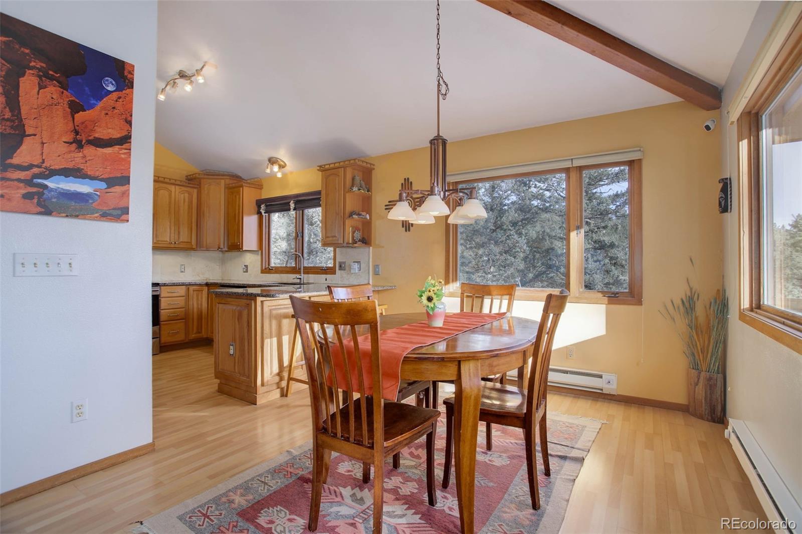 MLS Image #10 for 6399  elaine road,evergreen, Colorado