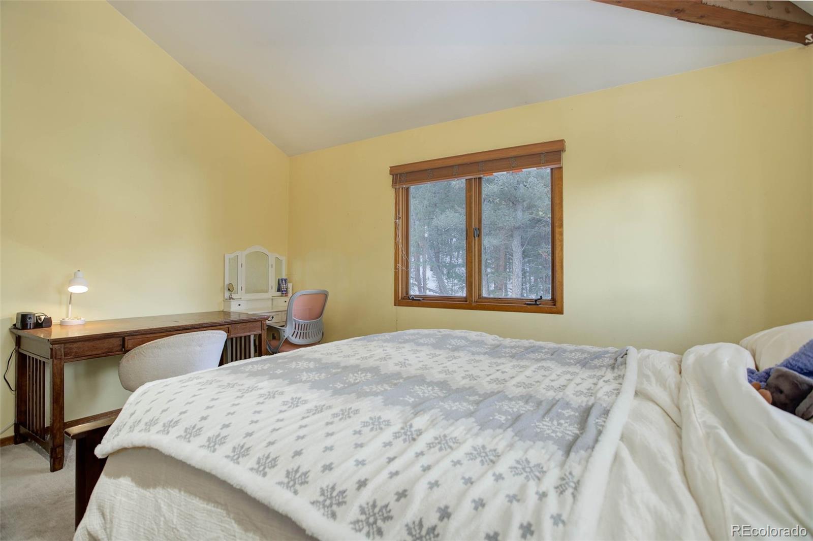 MLS Image #21 for 6399  elaine road,evergreen, Colorado