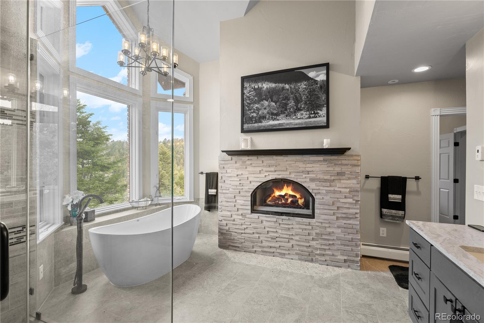 MLS Image #21 for 26269  richmond hill road,conifer, Colorado