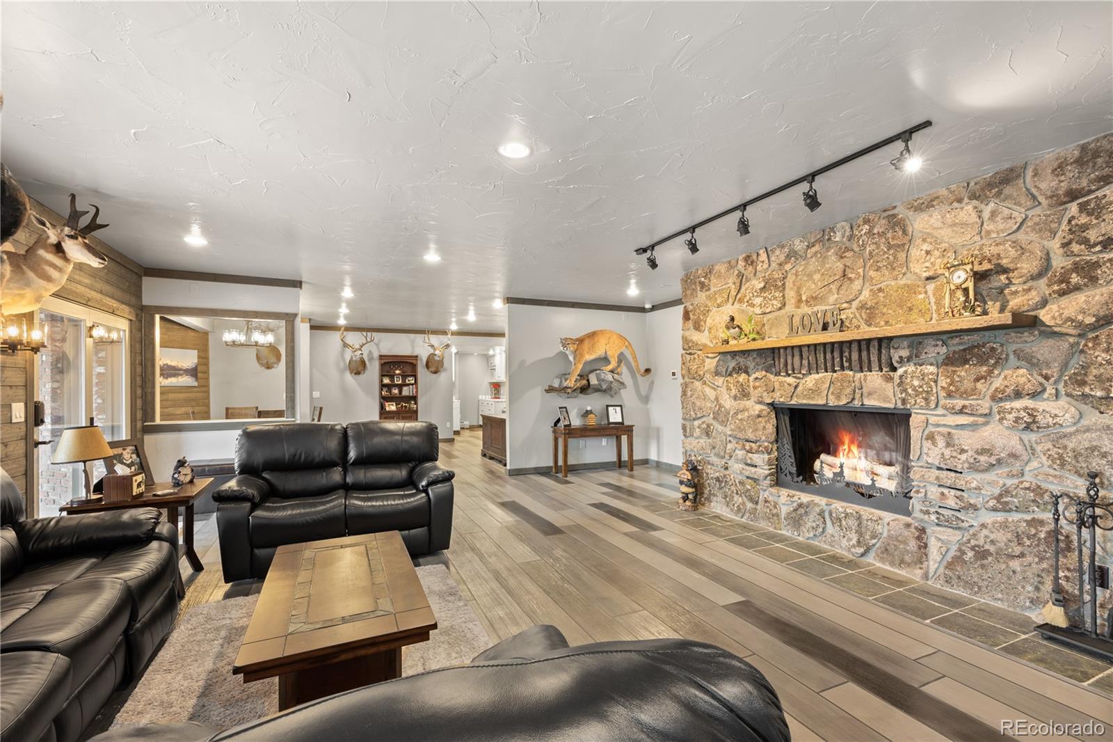 MLS Image #27 for 26269  richmond hill road,conifer, Colorado