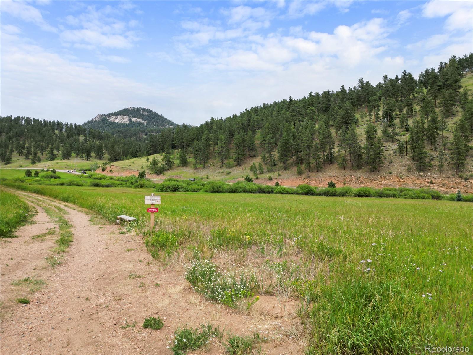 MLS Image #40 for 26269  richmond hill road,conifer, Colorado