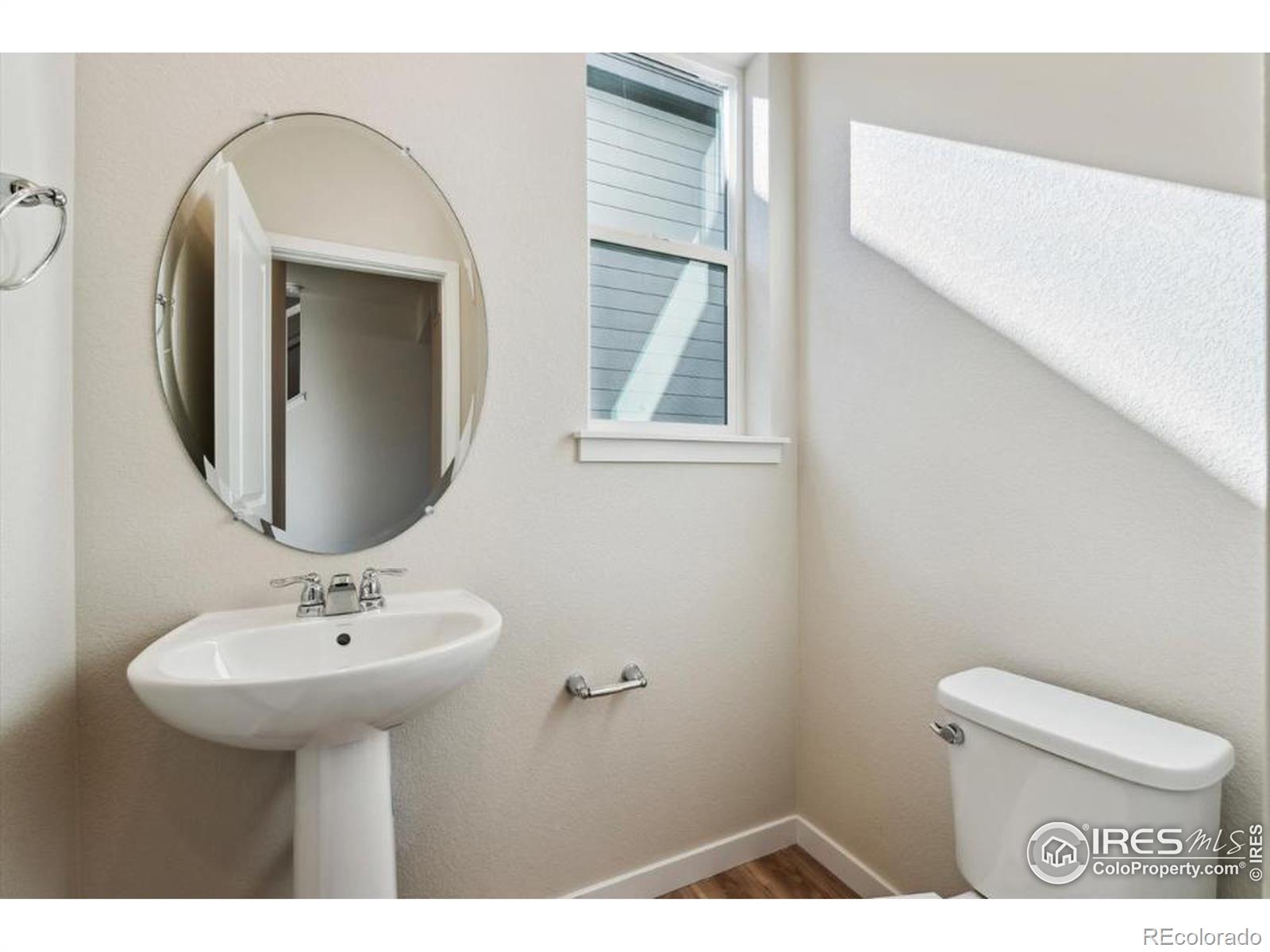 CMA Image for 4431  trader street,Timnath, Colorado