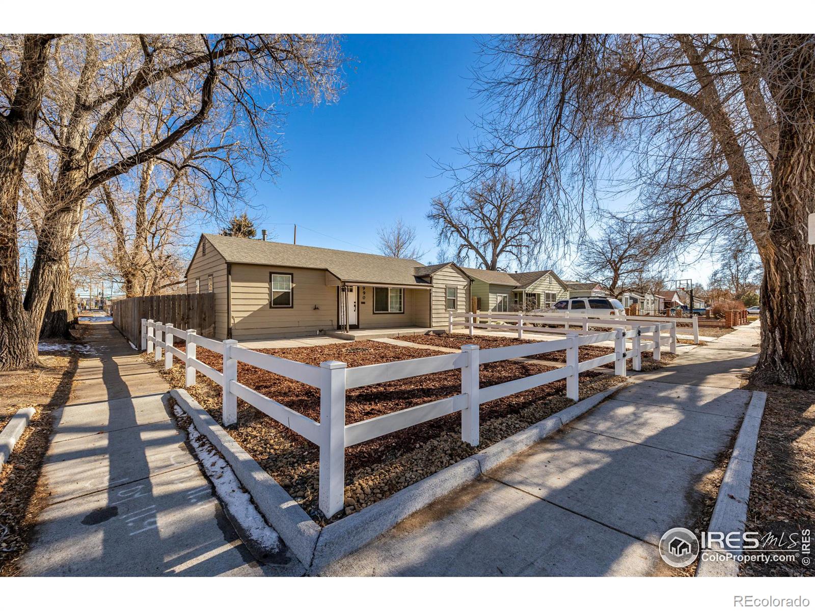 MLS Image #4 for 990  hazel court,denver, Colorado